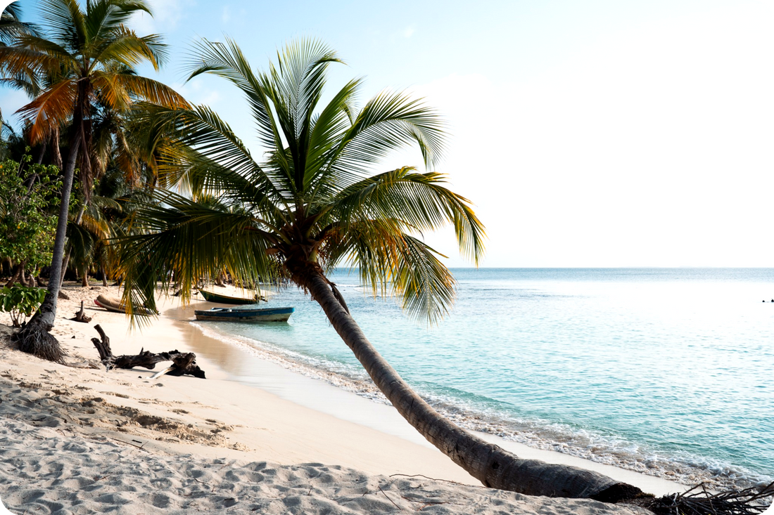 How to Get to San Blas Islands (2026 Guide + Real Costs & Transport Explained)